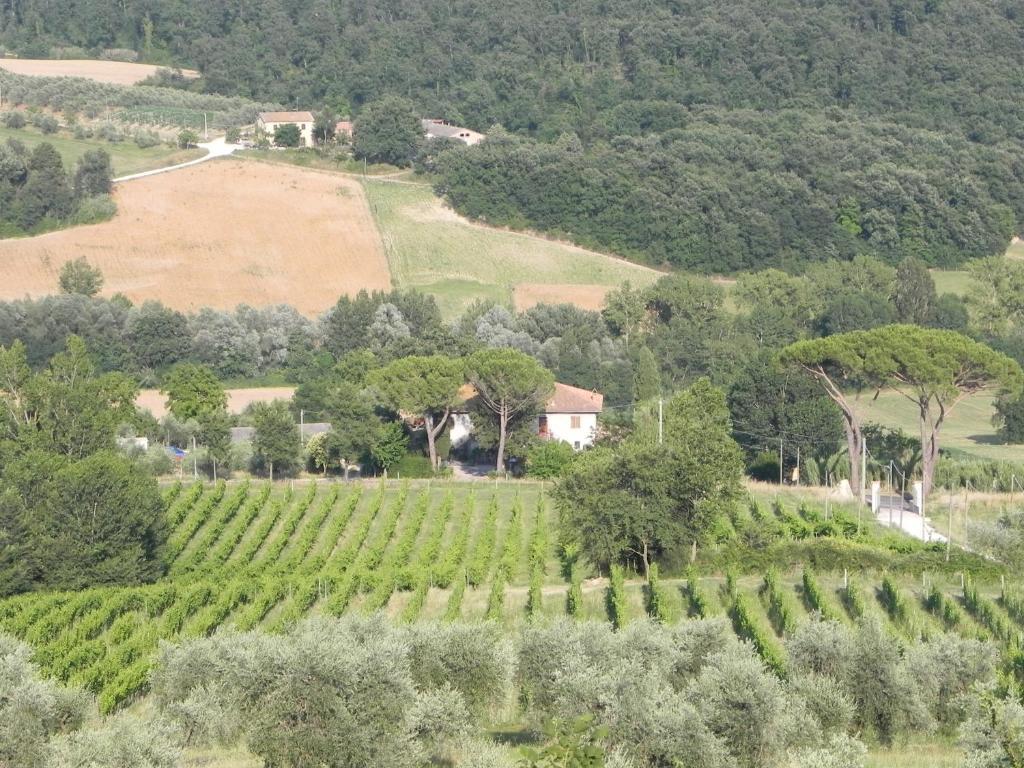 Tenuta Pizzogallo Amelia Δωμάτιο φωτογραφία