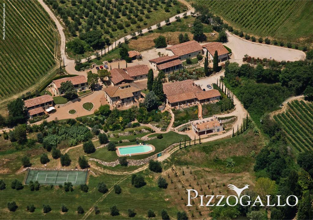 Tenuta Pizzogallo Amelia Εξωτερικό φωτογραφία