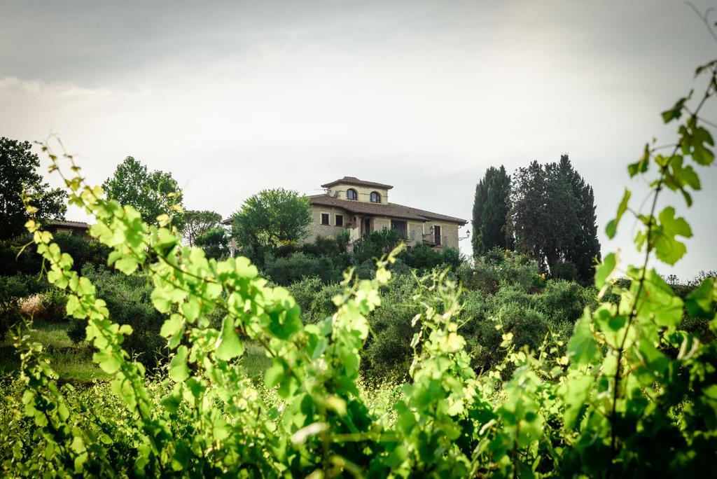 Tenuta Pizzogallo Amelia Εξωτερικό φωτογραφία