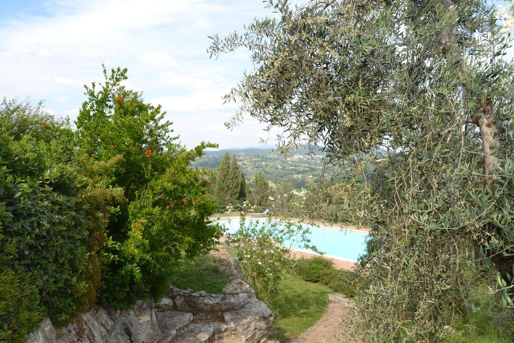 Tenuta Pizzogallo Amelia Εξωτερικό φωτογραφία