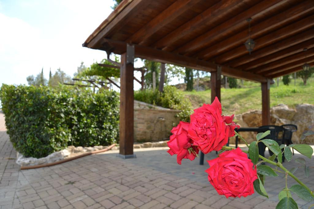 Tenuta Pizzogallo Amelia Εξωτερικό φωτογραφία