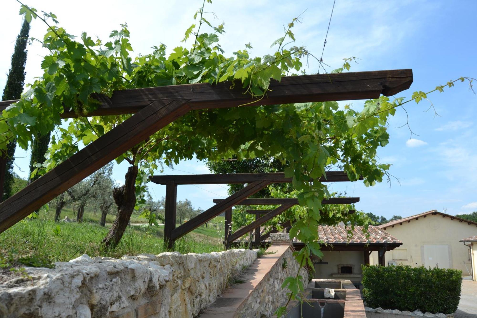 Tenuta Pizzogallo Amelia Εξωτερικό φωτογραφία
