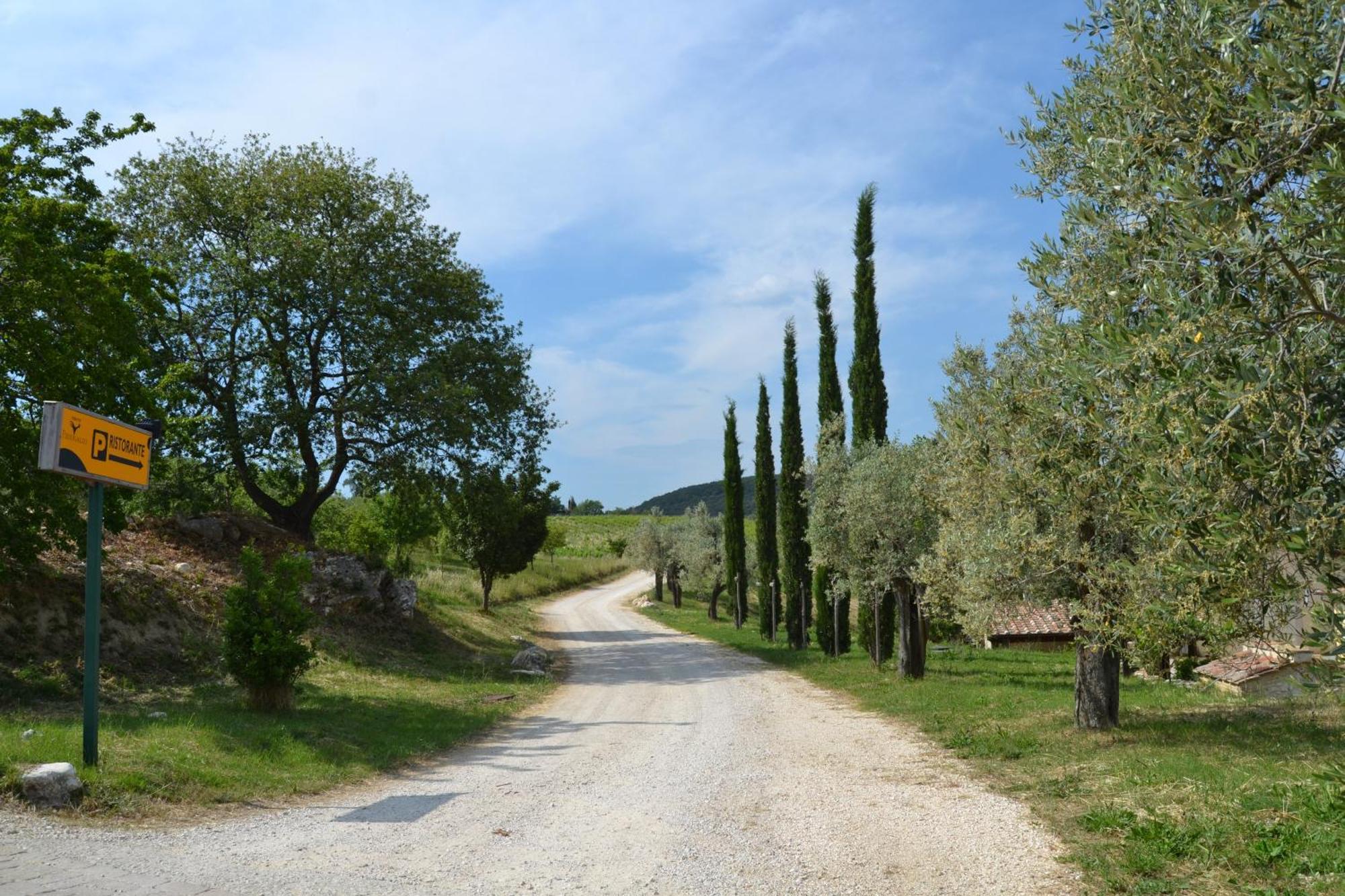 Tenuta Pizzogallo Amelia Εξωτερικό φωτογραφία
