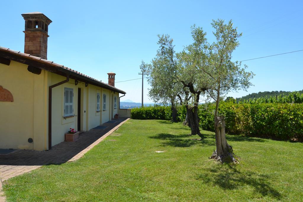 Tenuta Pizzogallo Amelia Εξωτερικό φωτογραφία