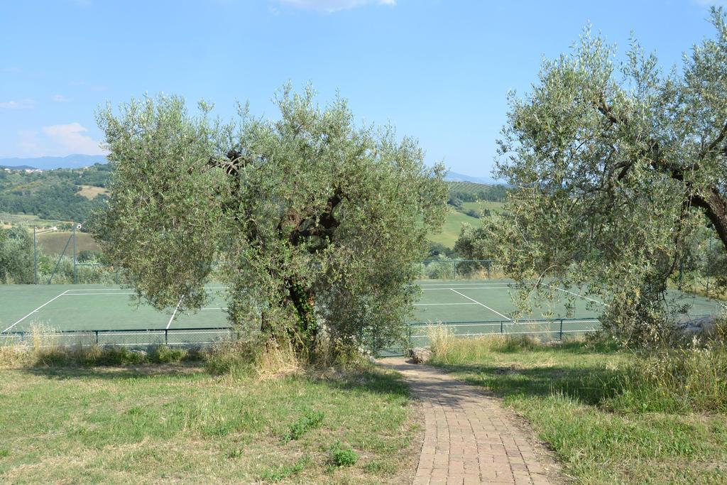 Tenuta Pizzogallo Amelia Εξωτερικό φωτογραφία