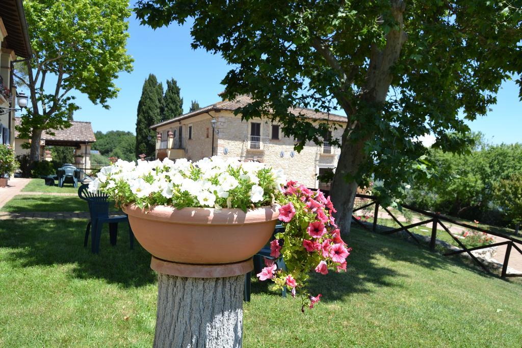 Tenuta Pizzogallo Amelia Εξωτερικό φωτογραφία