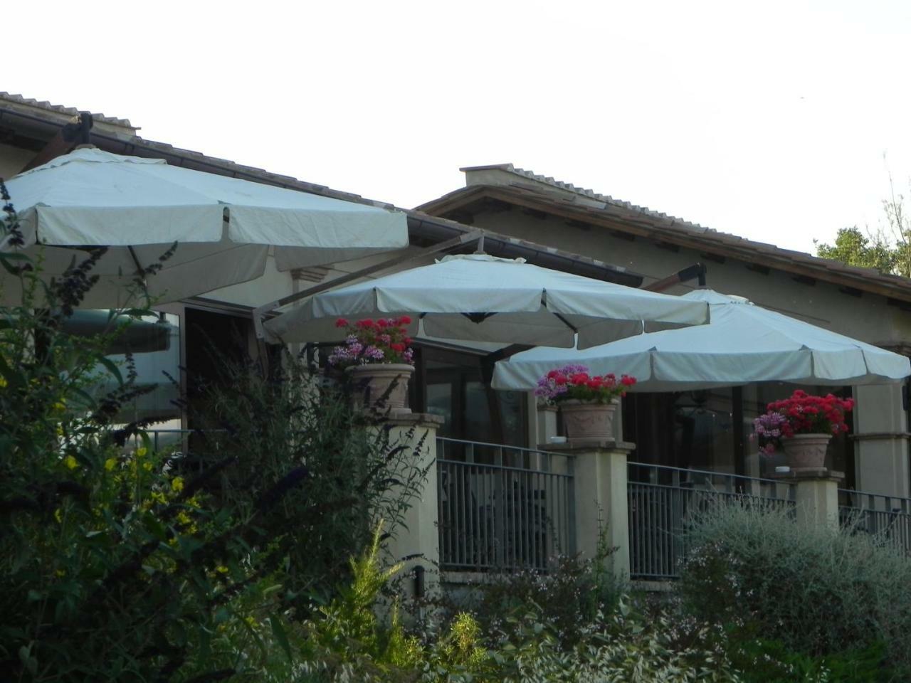 Tenuta Pizzogallo Amelia Εξωτερικό φωτογραφία